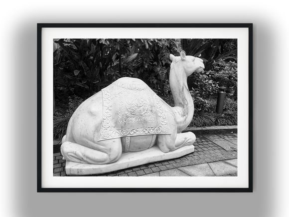 Carved Marble Camel Statue in Garden Black and White Photo Digital Download