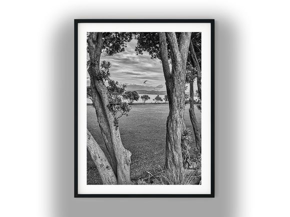 Coastal Park View Framed by Trees Black And White Photo Digital Download
