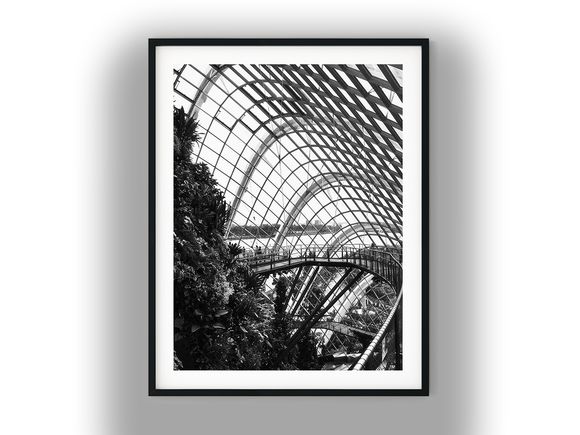 Singapore Cloud Forest Aerial Walkway and Glass Dome Black and White Photo Digital Download
