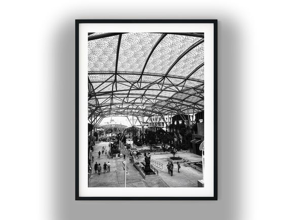 Canopy-Covered Walkway at Sentosa Island Plaza Black and White Photo Digital Download