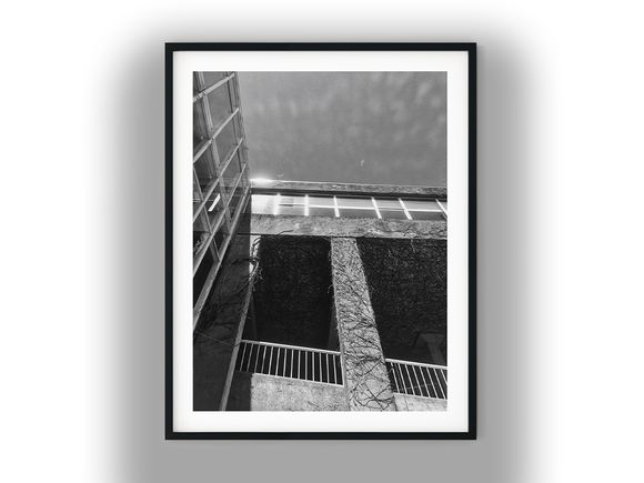 Concrete Architecture Overgrown With Vines Black And White Photo Digital Download
