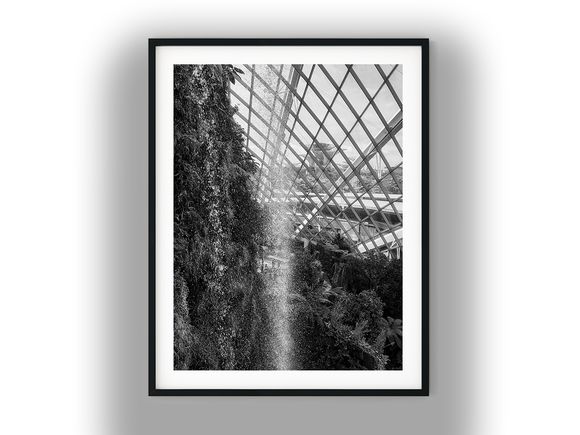 Indoor Waterfall Inside Singapore's Cloud Forest Dome Black and White Photo Digital Download