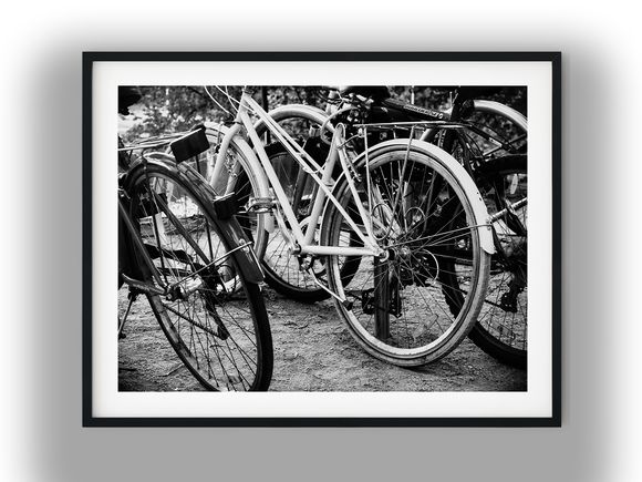 Vintage Commuter and Mountain Bikes Parked Together Black And White Photo Digital Download