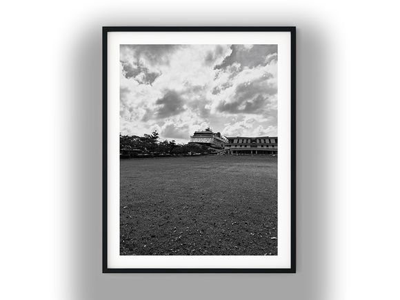 Cruise Ship Docked at Terminal Beyond Open Lawn Black and White Photo Digital Download
