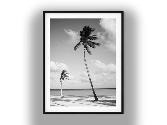 Windswept Palm Trees on a Sandy Beach Black and White Photo Digital Download
