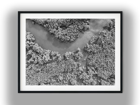 Aerial View of Winding Mangrove Creek Black And White Photo Digital Download