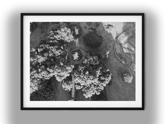 Aerial View of New Farm Park Rotunda Black And White Photo Digital Download