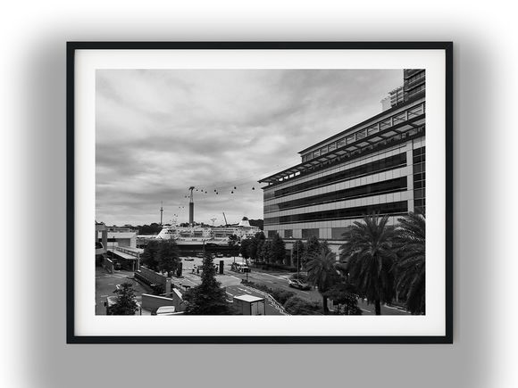 Singapore Cruise Terminal with Cable Cars Black and White Photo Digital Download