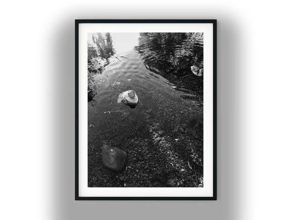 Painted Rock in Shallow Water with Duck Black And White Photo Digital Download