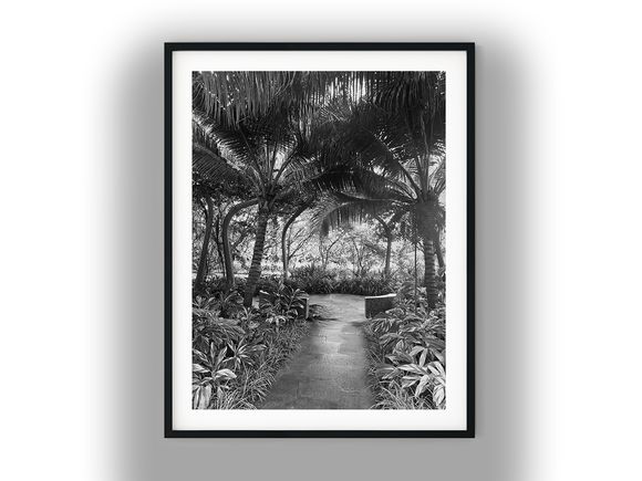 Tropical Stone Walkway Framed by Arched Palms Black and White Photo Digital Download