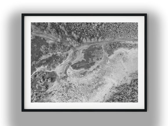 Aerial View of Forest Bordering Wetlands Black And White Photo Digital Download