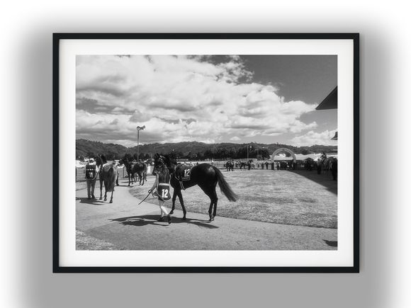 Racehorse and Handler in the Paddock Black And White Photo Digital Download