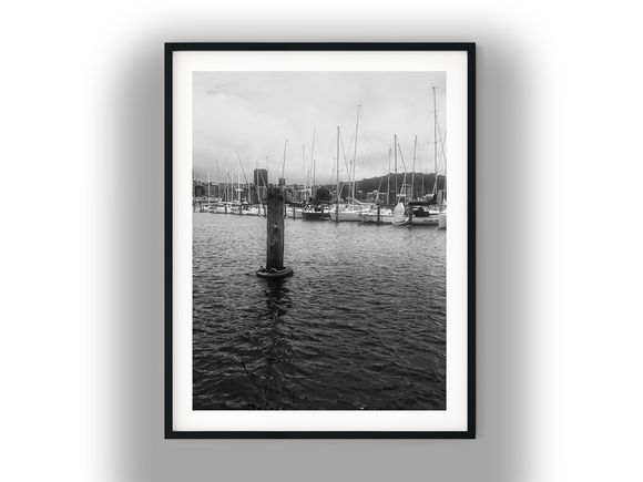 Moored Sailboats at Chaffers Marina, Wellington Harbour Black And White Photo Digital Download