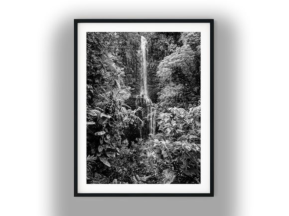 Lush Tropical Rainforest Waterfall Cascading Down Cliff Black And White Photo Digital Download