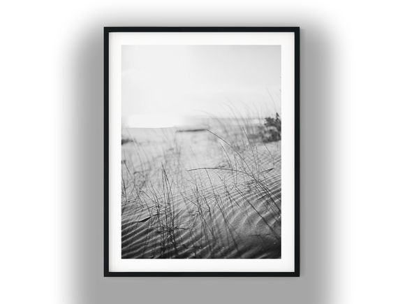 Sunlit Coastal Grass on Ruffled Sand Dunes Black And White Photo Digital Download