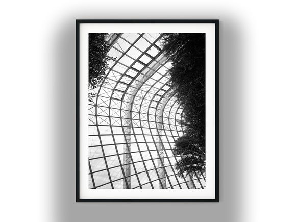 Gardens by the Bay Glass Dome Interior Black and White Photo Digital Download