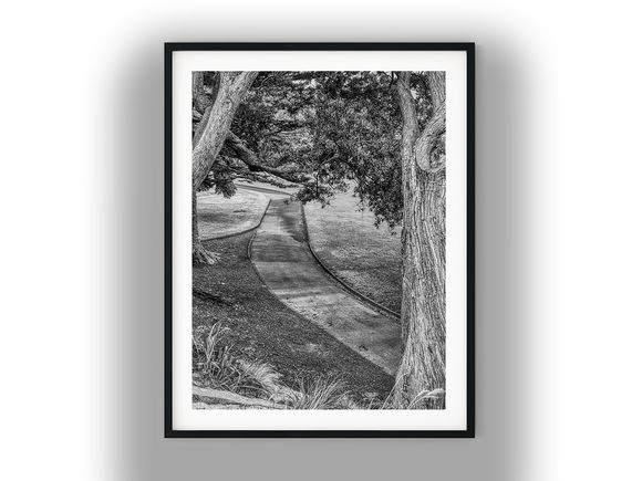 Winding Park Path Framed by Mature Trees Black And White Photo Digital Download