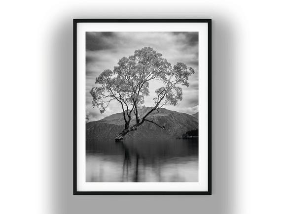 Solitary Willow Tree in Lake Wānaka Black And White Photo Digital Download