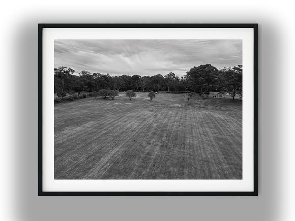Aerial View of Open Parkland Lawn Bordered by Trees Black and White Photo Digital Download