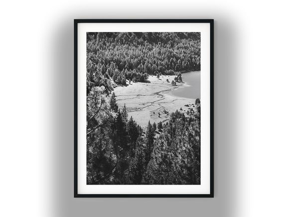 Dense Pine Forest Overlooking Mountain Lake Black and White Photo Digital Download