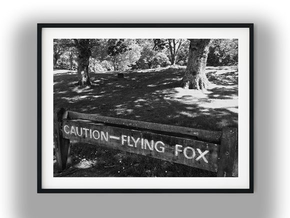 Caution Flying Fox Wooden Park Sign Black And White Photo Digital Download
