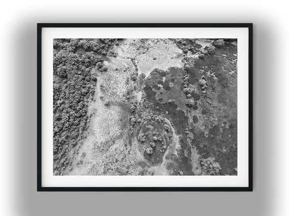 Aerial Top-Down View of Sprawling Wetlands Black And White Photo Digital Download
