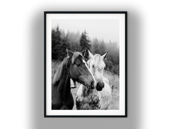 Two Horses in Misty Mountain Pasture Black and White Photo Digital Download