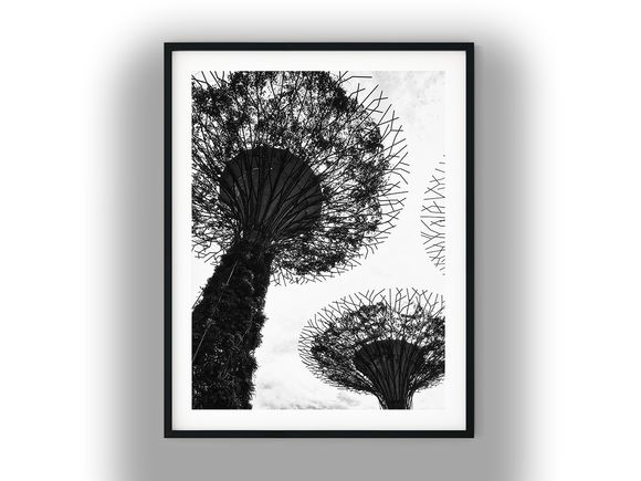 Gardens by the Bay Supertrees Low Angle View Black and White Photo Digital Download