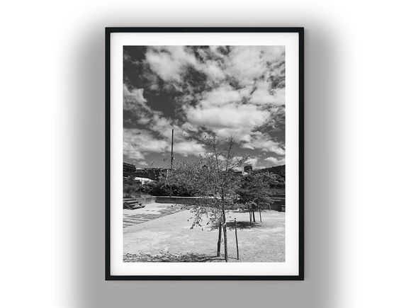 Cloudy Sky Over Waitangi Park, Wellington Black And White Photo Digital Download
