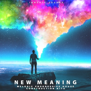 New Meaning (Melodic Progressive House)