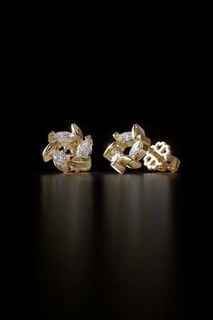 SAL Jewelry 007 Stud Earrings - 3D print model