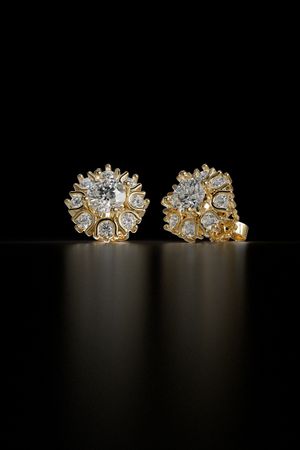 SAL Jewelry 009 Stud Earrings - 3D print model