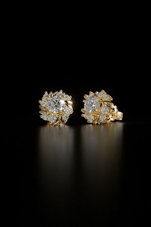 SAL Jewelry 006 Stud Earrings - 3D print model