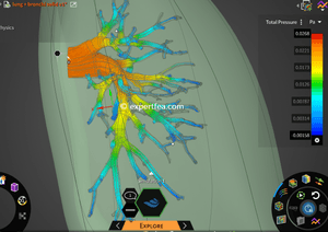 ANSYS Discovery 2024 R2 CFD Simulationn of Inhaling Air Through Bronchus and Bronchioles