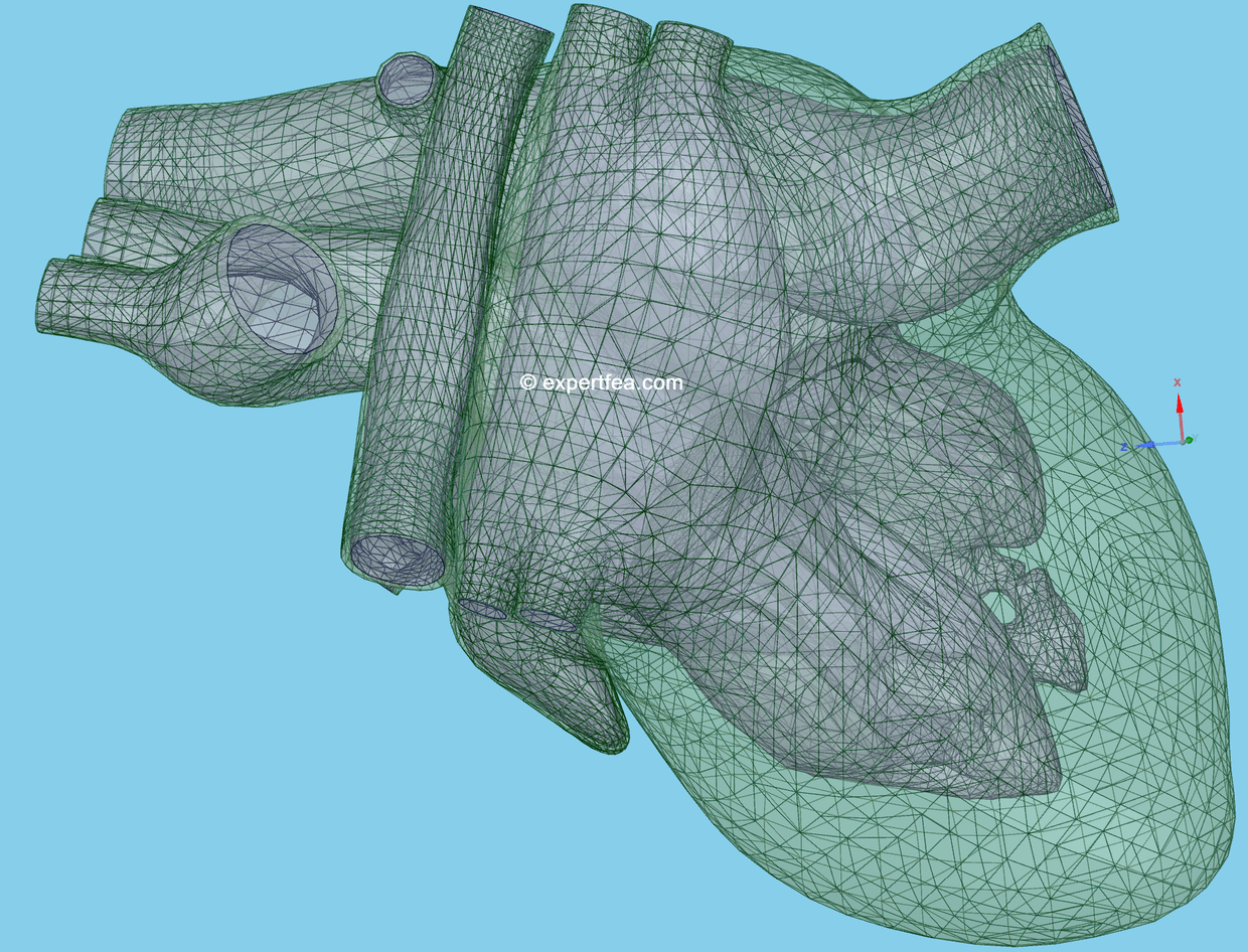 3D model only for full heart with valves