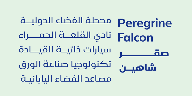 خط شاهين برو الطباعي - shaheen Pro Arabic typeface