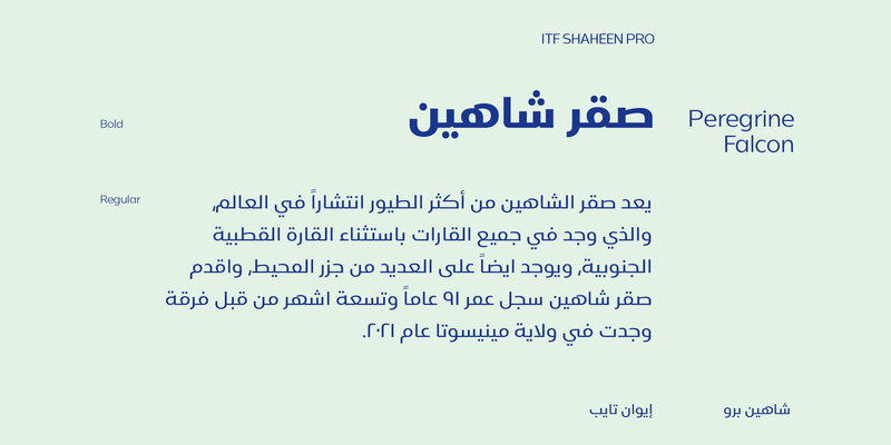 خط شاهين برو الطباعي - shaheen Pro Arabic typeface