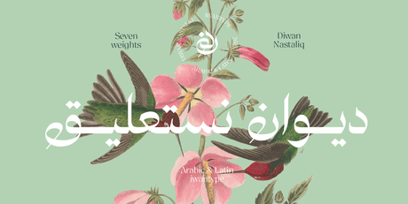  همس بصري ينساب برفاهية - Diwan Nastaliq - خط ديوان نستعليق