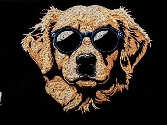 Golden Retriever cool Lichteffekt
