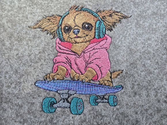 Langhaar Chihuahua mit Skateboard