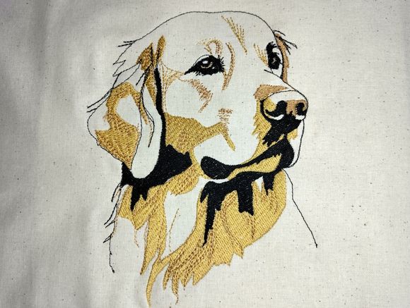 Golden Retriever Konturen