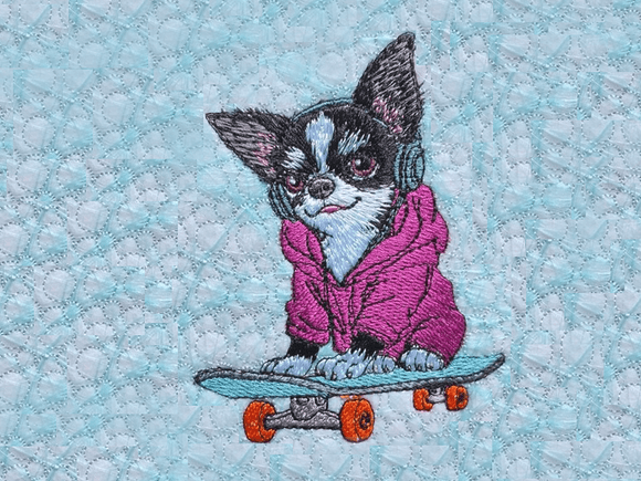 Chihuahua schwarz/weiß mit Skateboard