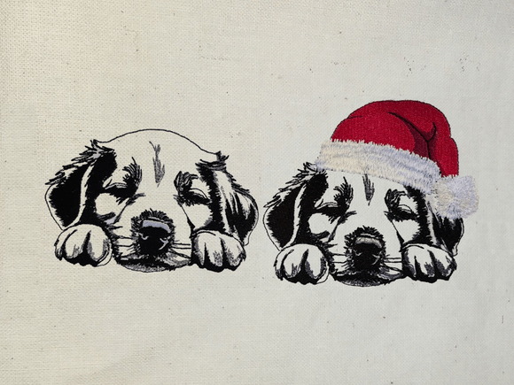 Hundgesicht Konturen