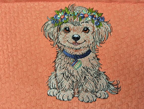 Hund Blumen 
