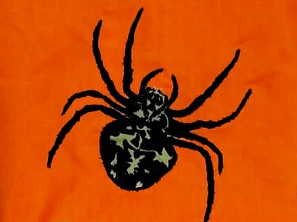 Spinne mit Applikation