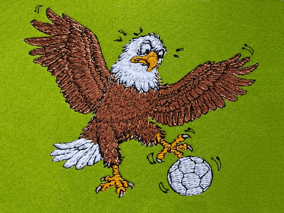 Fußball Adler