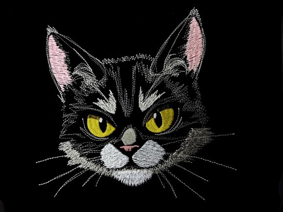 Katzengesicht grumpy Lichteffekt