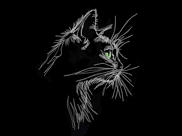 Katze Konturen seitlich Lichteffekt
