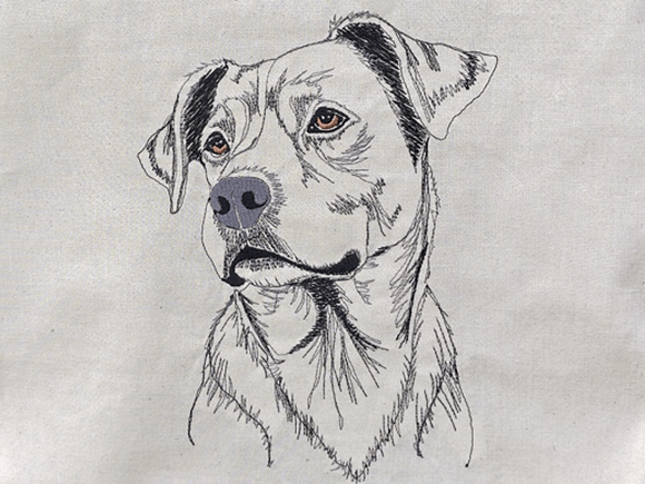 Ridgeback Konturen