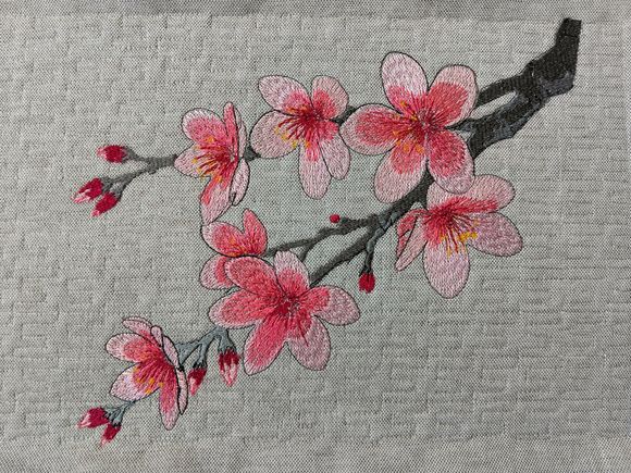 Kirschblüte